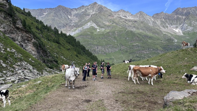 Alpentour 2026